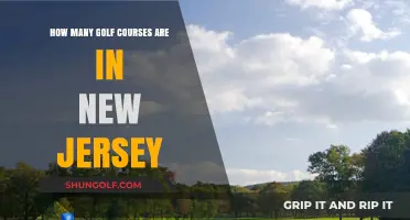 Exploring New Jersey's Golf Scene: A Comprehensive Course Count