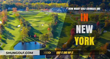 Exploring New York's Golf Scene: A Comprehensive Course Count