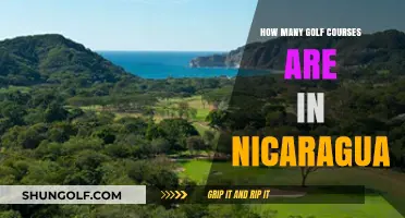 Exploring Nicaragua's Golf Scene: A Look at Course Numbers
