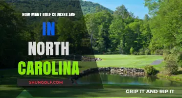 Exploring North Carolina's Golf Scene: A Count of Courses
