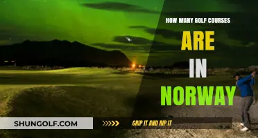 Exploring Norway's Golf Scene: How Many Courses Does It Offer?