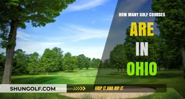 Exploring Ohio's Golf Scene: A Comprehensive Count of Courses