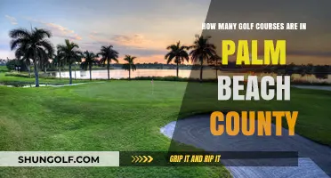 Exploring Palm Beach County's Golf Courses: A Comprehensive Count and Guide
