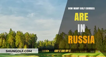 Exploring Russia's Golf Scene: A Look at the Number of Courses