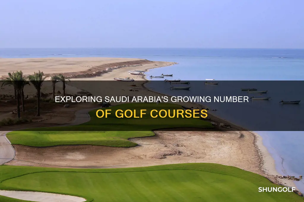 how many golf courses are in saudi arabia