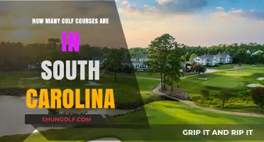 Exploring South Carolina's Golf Scene: How Many Courses Are There?