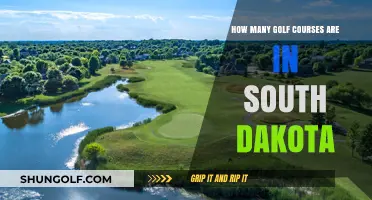 Exploring South Dakota's Golf Scene: A Count of Its Courses