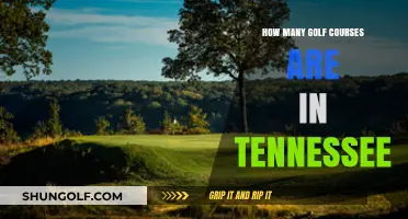 Exploring Tennessee's Golf Scene: A Count of Courses Statewide