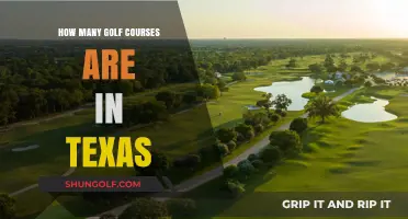 Exploring Texas' Golf Scene: How Many Courses Does It Offer?