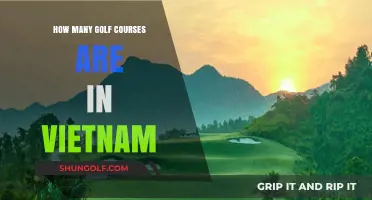 Exploring Vietnam's Golf Scene: A Comprehensive Count of Courses