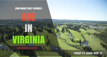 Exploring Virginia's Golf Scene: A Comprehensive Course Count Guide