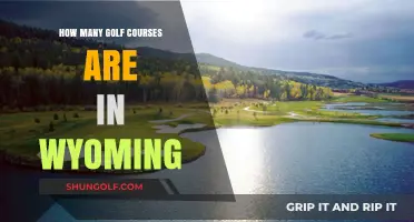 Exploring Wyoming's Golf Scene: A Look at the State's Courses