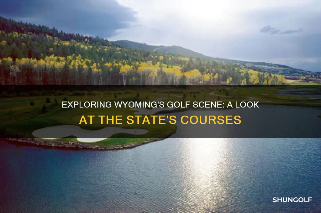 how many golf courses are in wyoming