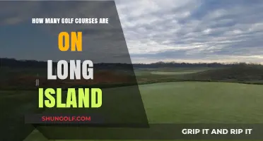 Exploring Long Island's Golf Scene: A Comprehensive Course Count