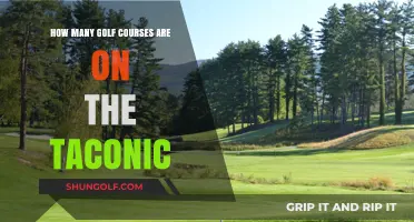 Exploring the Taconic: Uncovering the Number of Golf Courses