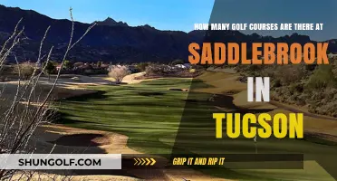 Exploring Saddlebrook's Golf Courses in Tucson: A Comprehensive Guide