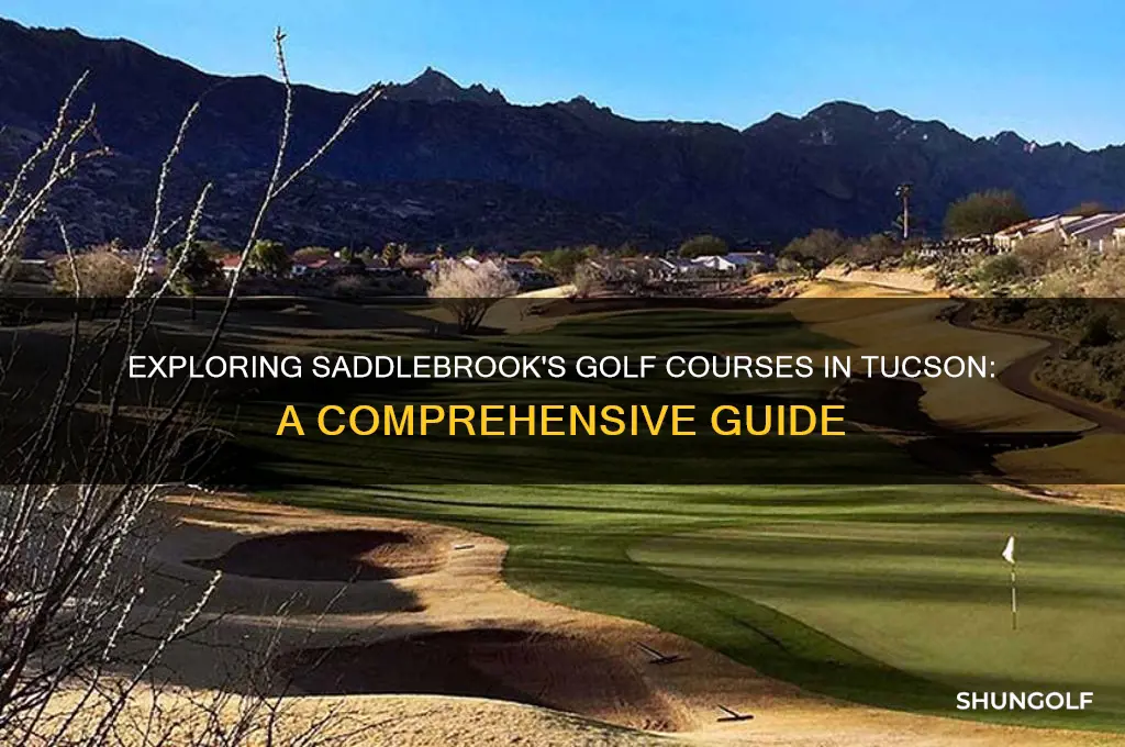 how many golf courses are there at saddlebrook in tucson
