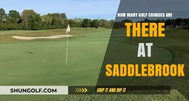 Exploring Saddlebrook: Discovering the Number of Golf Courses Available