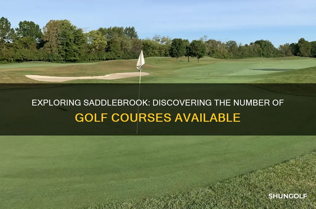 how many golf courses are there at saddlebrook