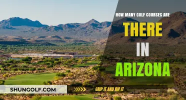 Exploring Arizona's Golf Scene: A Comprehensive Count of Courses