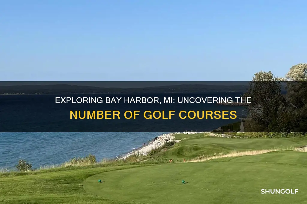 how many golf courses are there in bay harbor mi