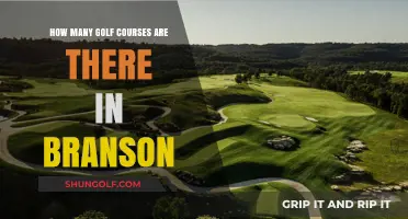 Exploring Branson's Golf Scene: A Guide to Its Numerous Courses