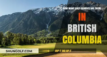 Exploring British Columbia's Golf Scene: A Comprehensive Course Count