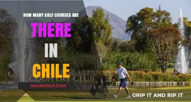 Exploring Chile's Golf Scene: A Comprehensive Count of Courses