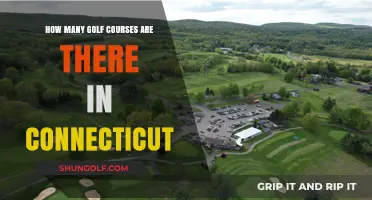 Exploring Connecticut's Golf Scene: A Comprehensive Course Count Guide