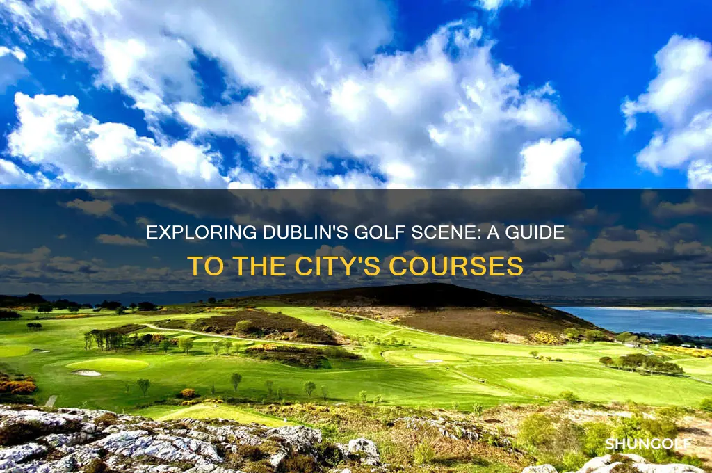 how many golf courses are there in dublin