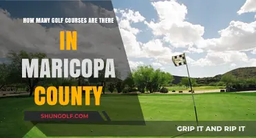 Exploring Maricopa County's Golf Scene: A Comprehensive Course Count