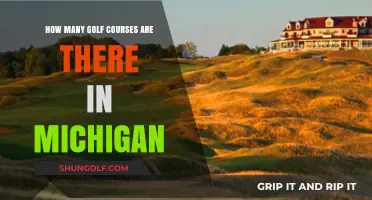 Exploring Michigan's Golf Scene: A Look at the State's Courses
