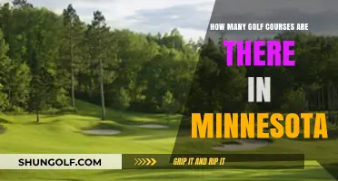 Exploring Minnesota's Golf Scene: A Look at the State's Courses