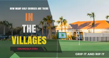 Exploring the Abundance of Golf Courses in The Villages Community