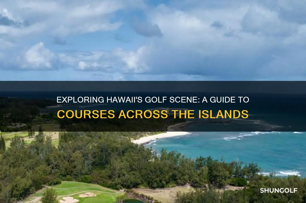 how many golf courses in hawaii