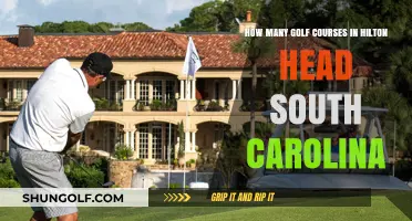 Exploring Hilton Head's Golf Scene: Course Count and Highlights