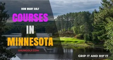 Exploring Minnesota's Golf Scene: A Comprehensive Course Count Guide