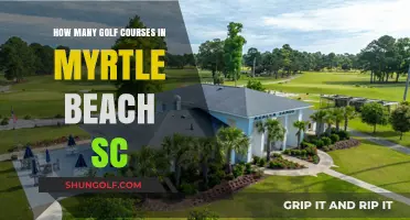 Exploring Myrtle Beach's Golf Scene: A Comprehensive Course Count