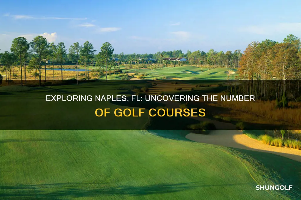 how many golf courses in naples fl
