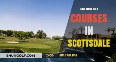 Exploring Scottsdale's Golf Scene: A Guide to Its Numerous Courses