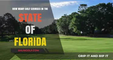 Exploring Florida's Golf Scene: A Count of Courses in the Sunshine State