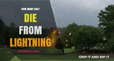 Golfers Struck by Lightning: A Deadly Game?