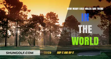 Exploring the Global Count of Golf Holes Worldwide