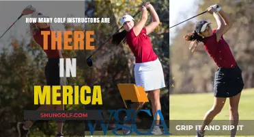 Exploring the Number of Golf Instructors Across America