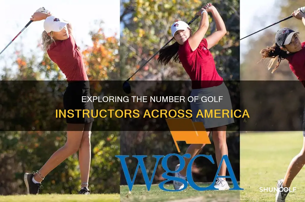 how many golf instructors are there in merica