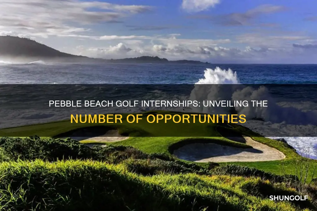 how many golf interns does pebble beach have