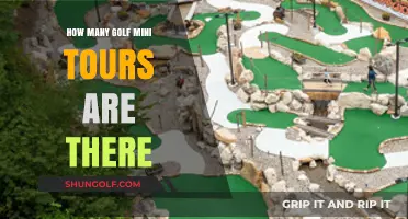 Exploring the Vast Landscape of Golf Mini Tours Worldwide