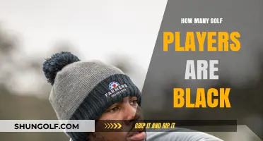 Golf's Lack of Diversity: Counting Black Players