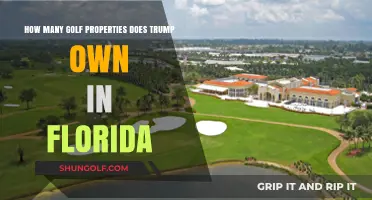 Exploring Trump's Golf Empire: Florida Properties Owned and Operated