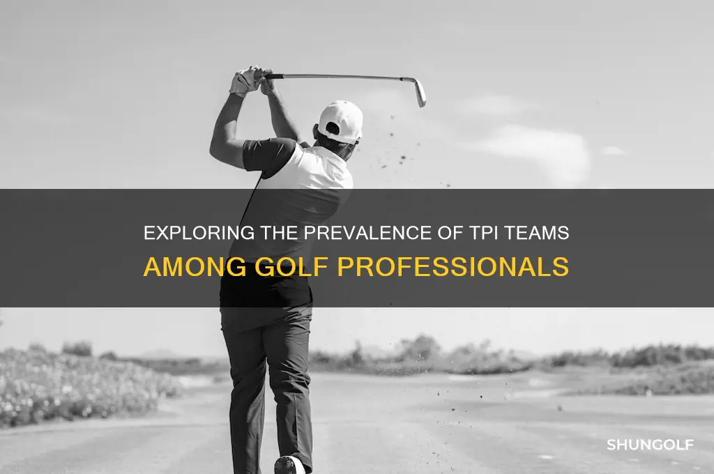 how many golf pros have tpi teams